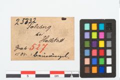 Etikett zu Gagatringperle (NHMW-PRAE-025332)